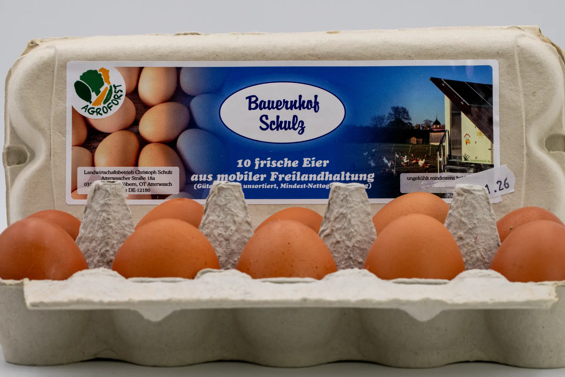 zehn-frische-eier-legehennen-mobilstall-bauernhof-schulz
